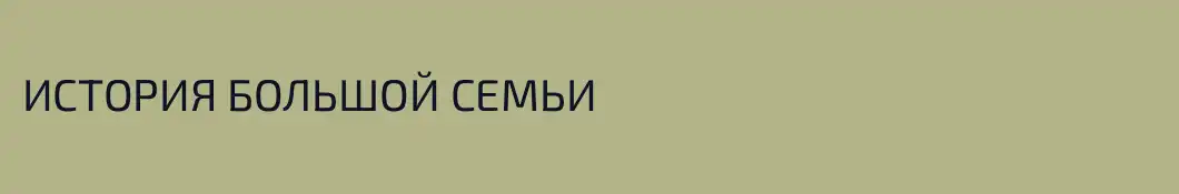 ИСТОРИЯ БОЛЬШОЙ СЕМЬИ